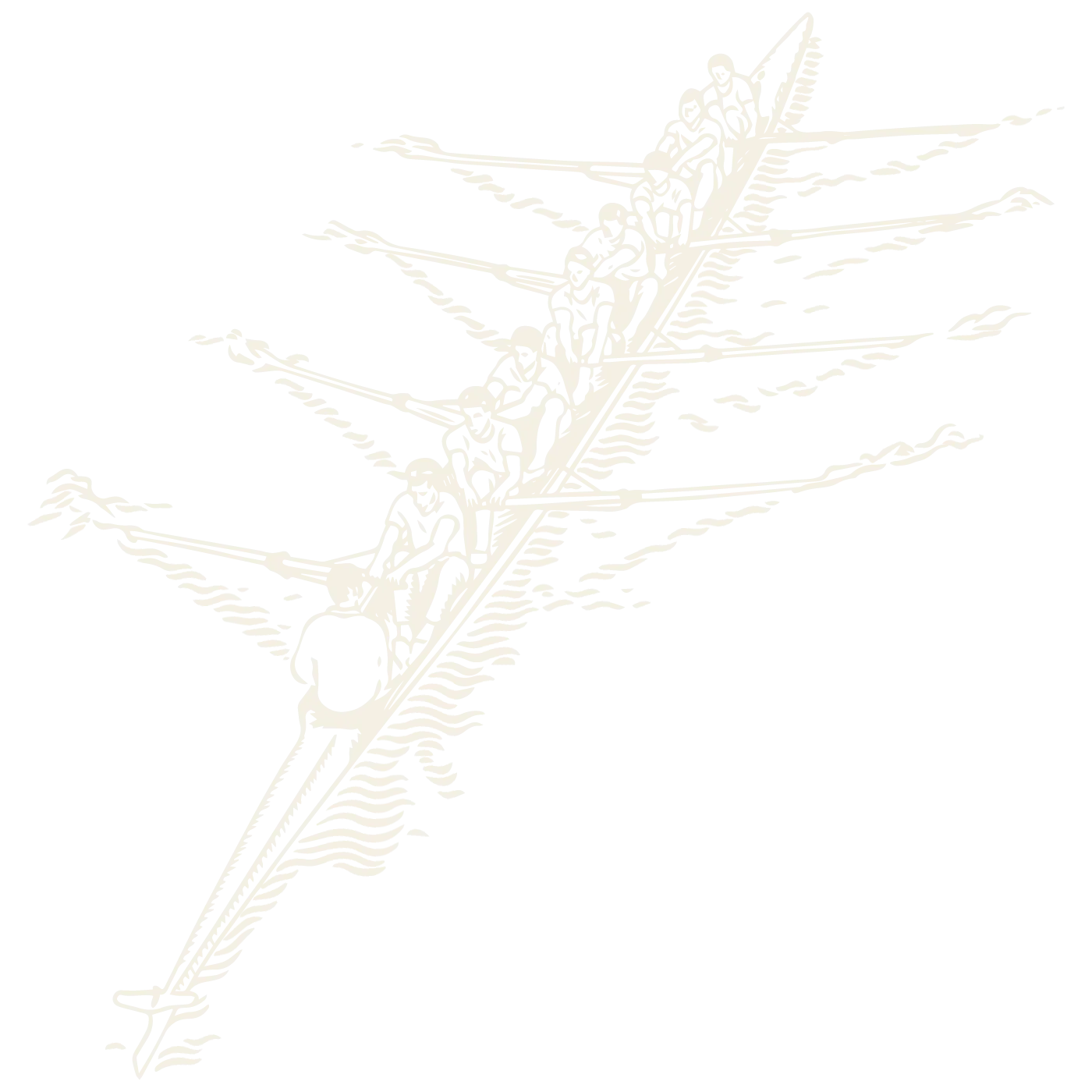 Animated rowing illustration